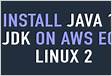 How to Install Java JDK11 on AWS EC2